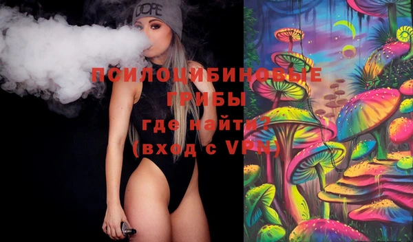 мет Алексин