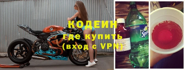 мет Алексин