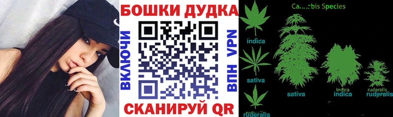 Каннабис OG Kush  Красноуральск 